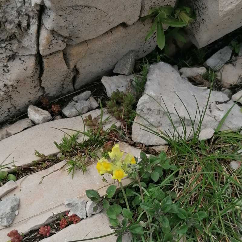 https://hello.rochecourbeescapade.fr/storage/photos_club/2020/dia15202.jpg