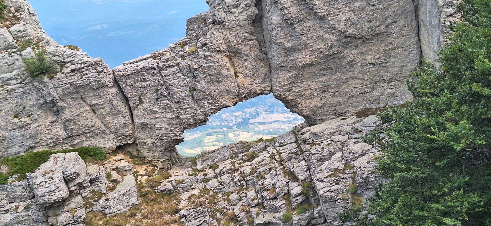photo absente