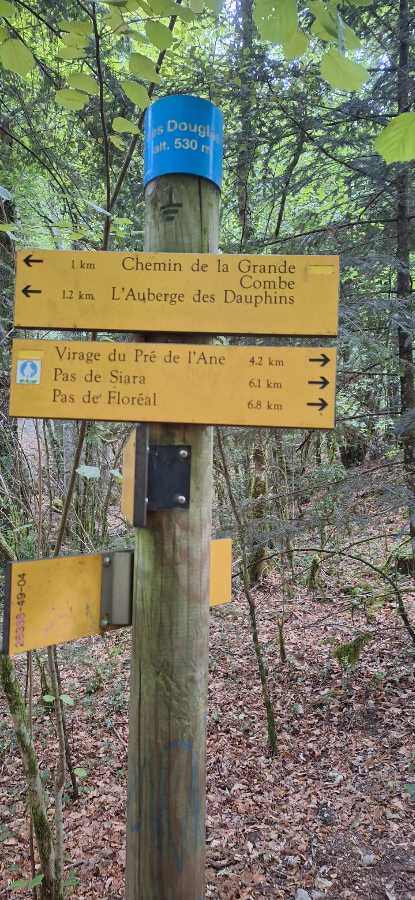 photo absente
