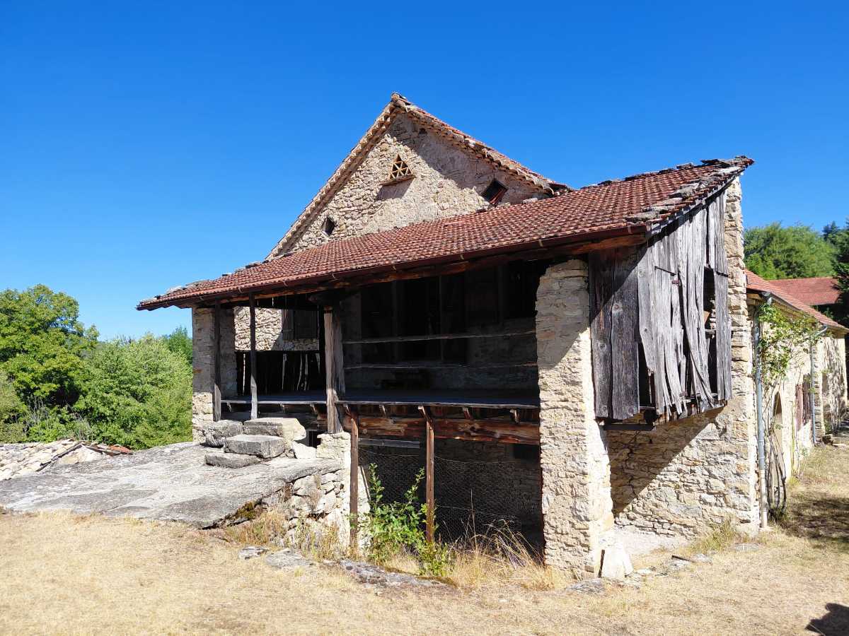 photo absente