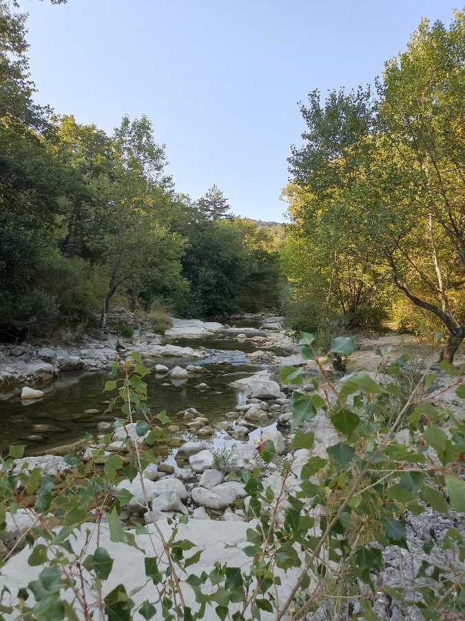 photo absente