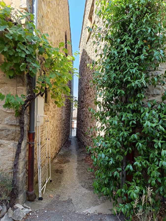 photo absente