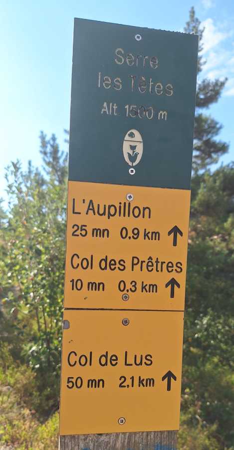 photo absente