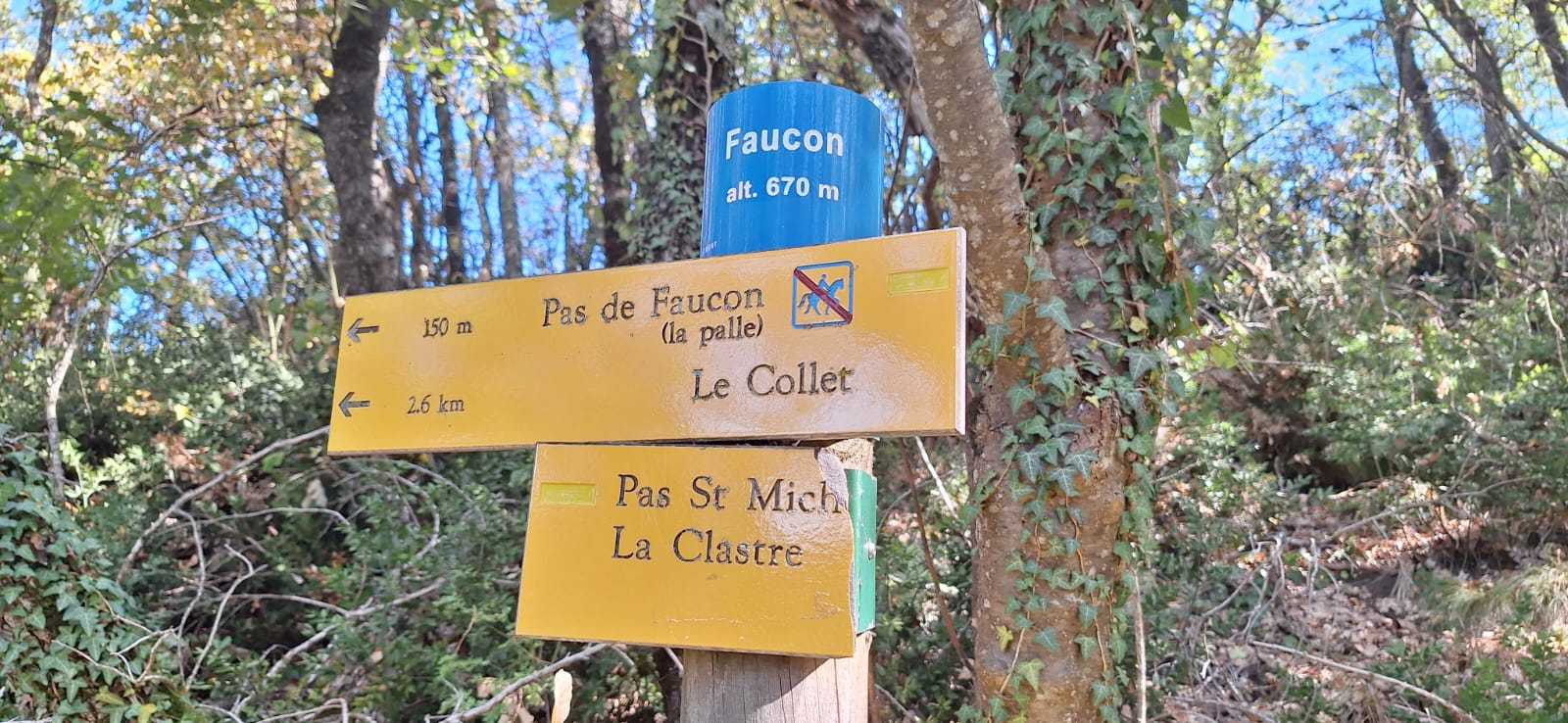 photo absente